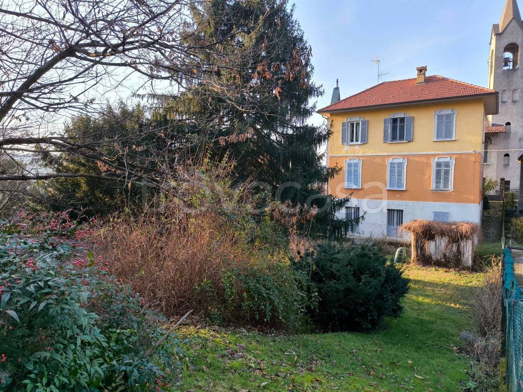immagine annuncio 2 di 8