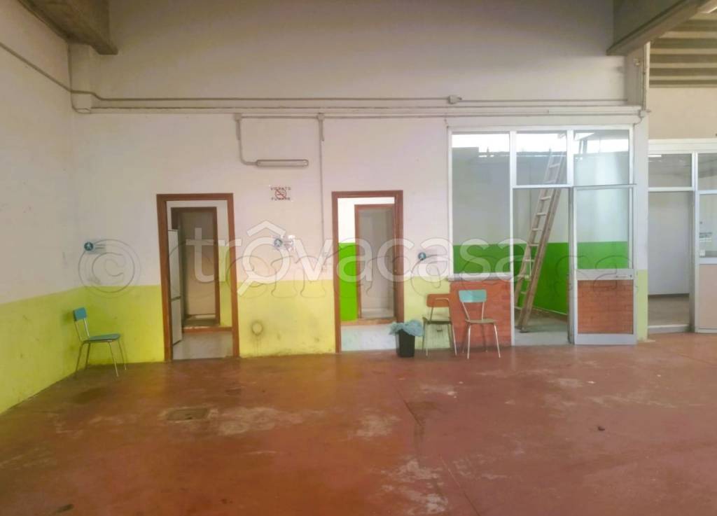 immagine annuncio 11 di 14