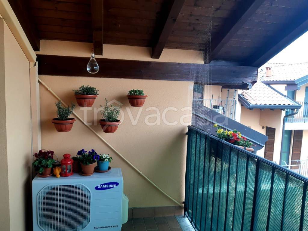 immagine annuncio 7 di 14