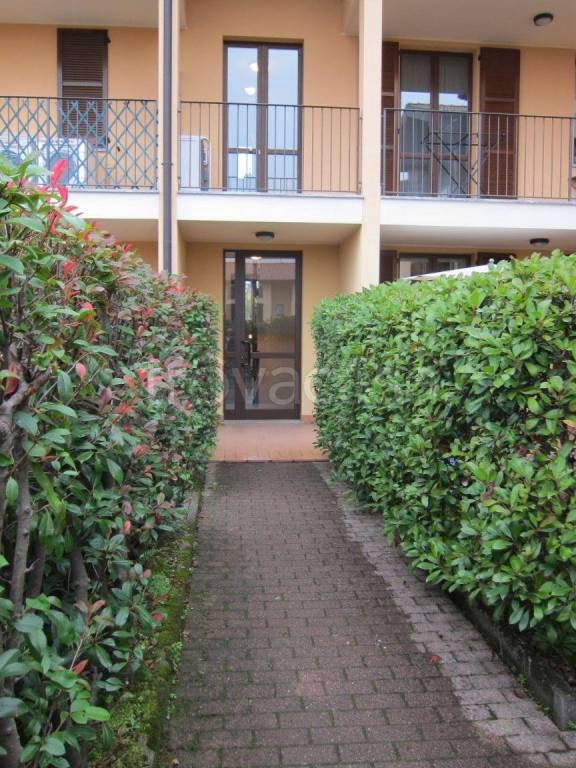 immagine annuncio 8 di 14