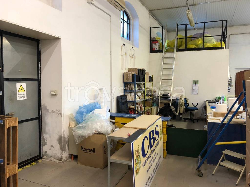 immagine annuncio 9 di 15
