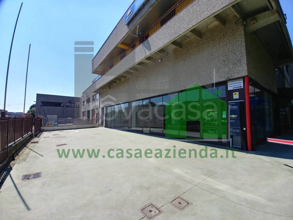 immagine annuncio 7 di 12