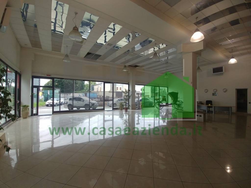 immagine annuncio 11 di 12