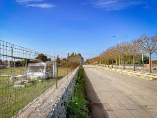 Terreno agricolo in affitto a putignano viale cristoforo colombo, 67