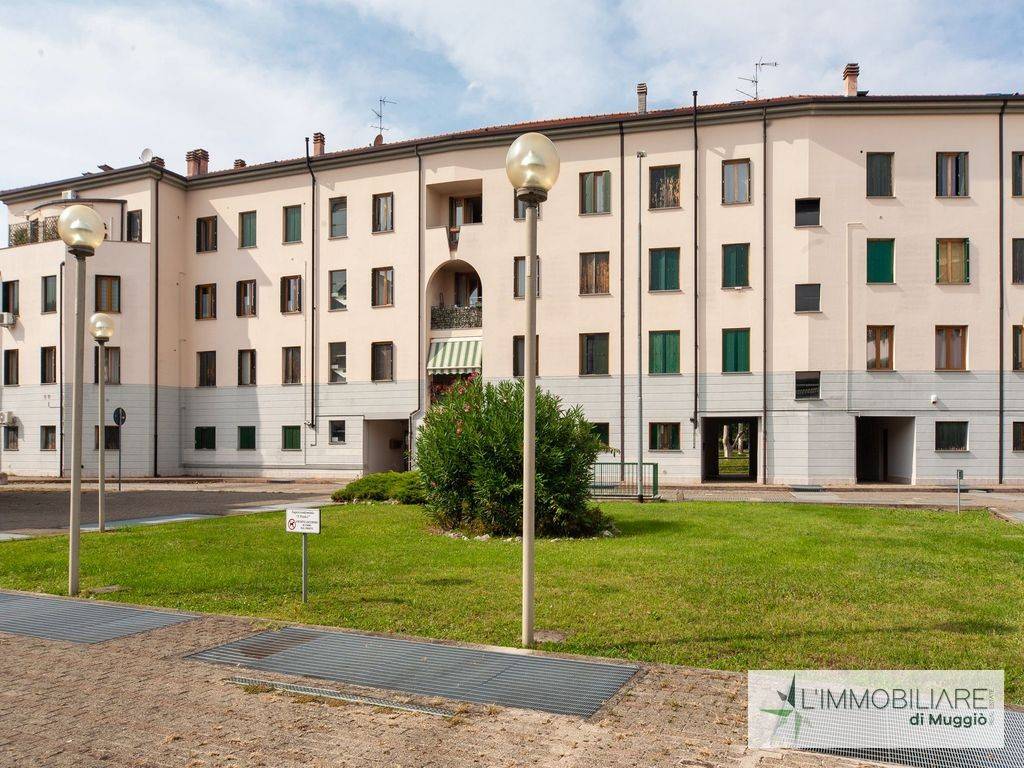 immagine annuncio 1 di 15