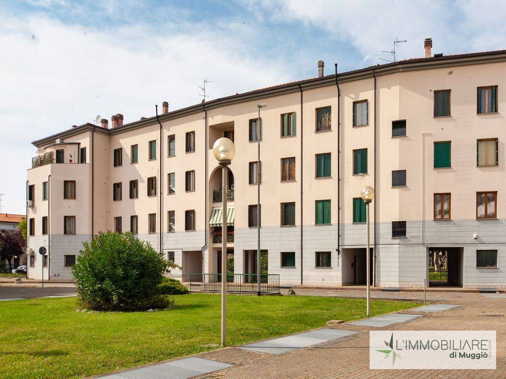 immagine annuncio 2 di 15