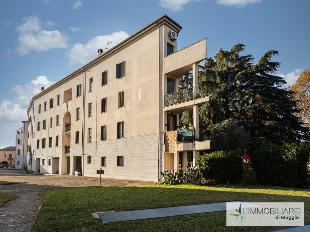 immagine annuncio 4 di 15