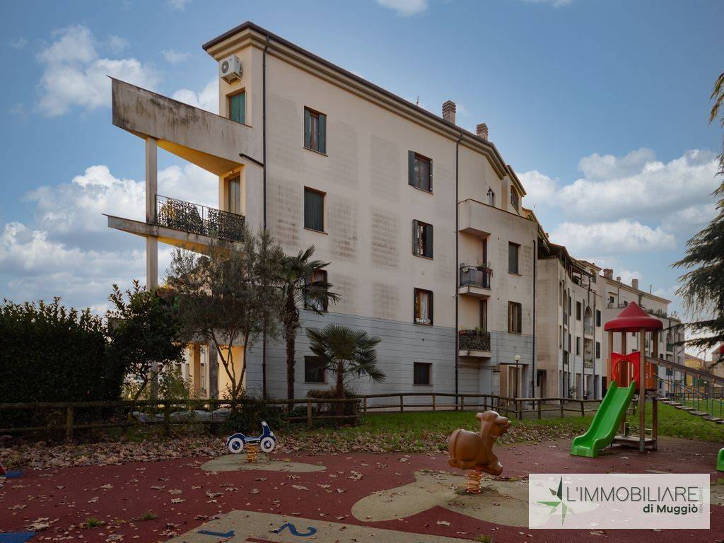 immagine annuncio 6 di 15