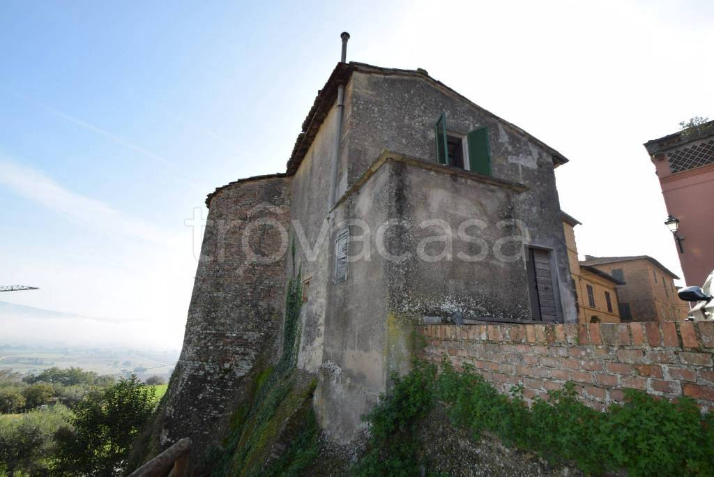 immagine annuncio 13 di 14