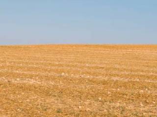 Terreno agricolo all'asta a urgnano comune di urgnano