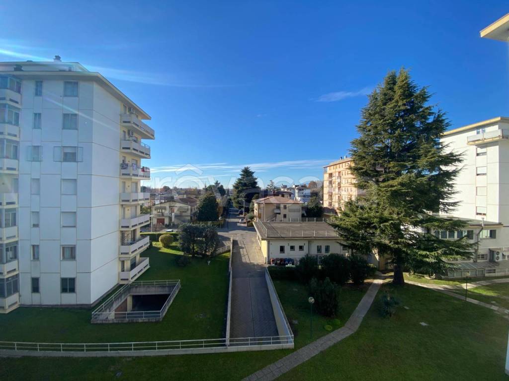 immagine annuncio 6 di 13