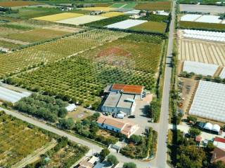 Capannone industriale in vendita a policoro viale san giusto, 15