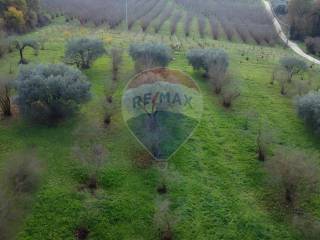 Terreno agricolo in vendita a vasanello località casone, snc