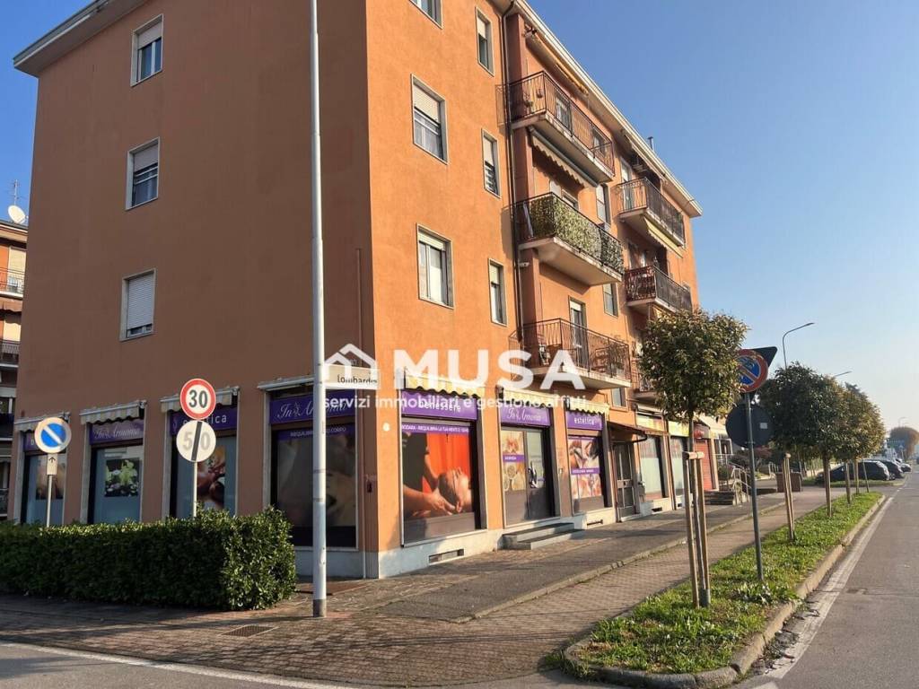 immagine annuncio 11 di 12
