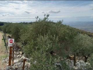 Terreno agricolo all'asta a sonnino 