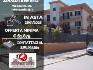 Appartamento all'asta a trinitapoli via mulini, 40, 76015 trinitapoli bt, italia