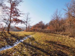 Terreno residenziale in vendita a frassinoro 