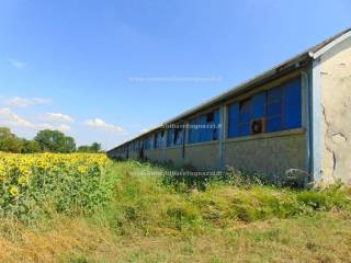 Terreno residenziale in vendita a castelfiorentino zona campagna