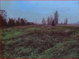 Terreno agricolo all'asta a ferrara via penavara