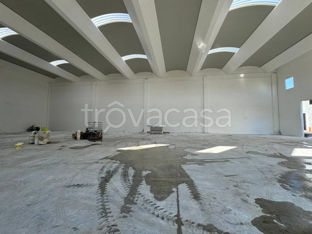 immagine annuncio 1 di 8