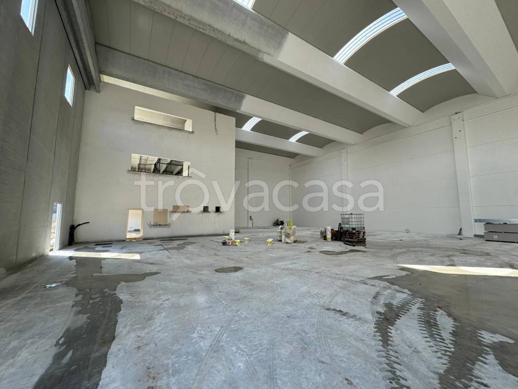 immagine annuncio 2 di 8