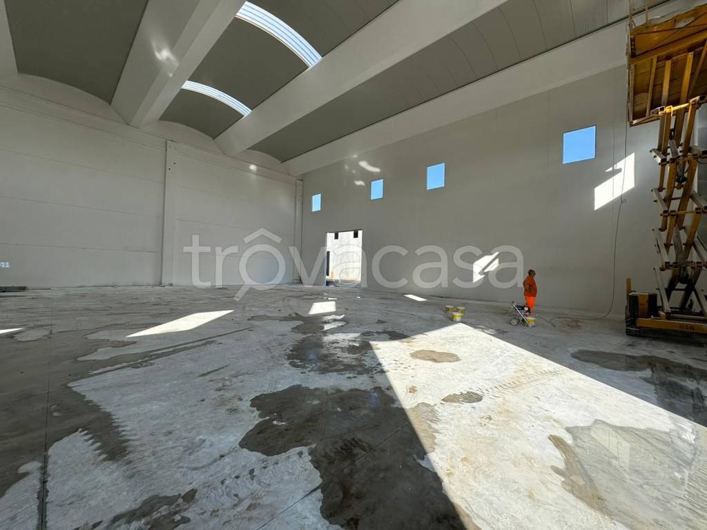 immagine annuncio 4 di 8