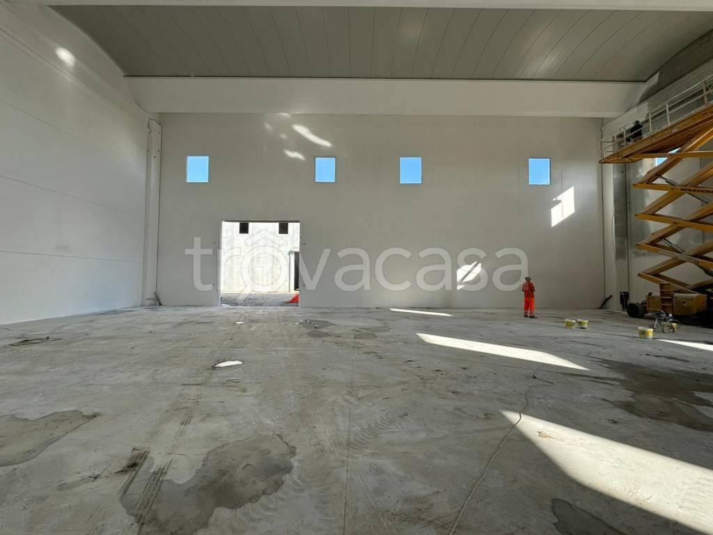 immagine annuncio 6 di 8