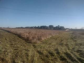 Terreno agricolo in vendita ad altamura contrada vuccolo s.n.c.