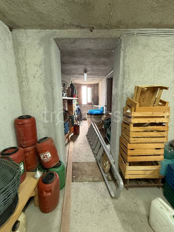 immagine annuncio 10 di 14