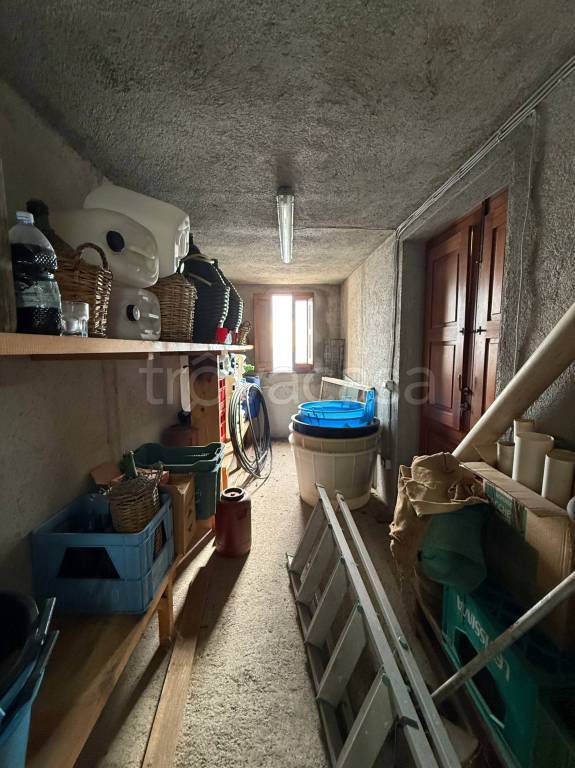 immagine annuncio 11 di 14