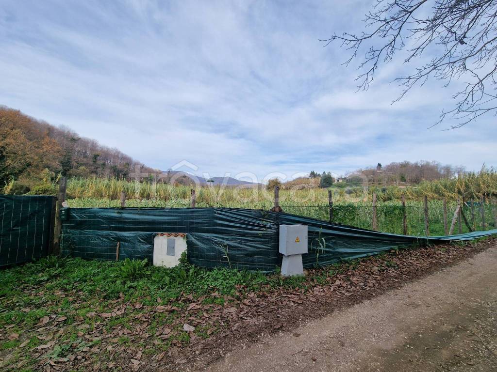 immagine annuncio 2 di 11