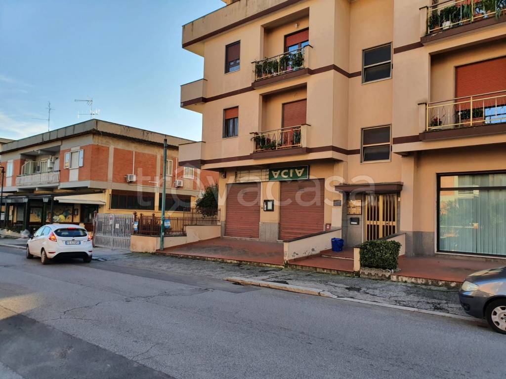 immagine annuncio 2 di 11