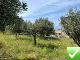 Terreno agricolo in vendita a reggio di calabria 