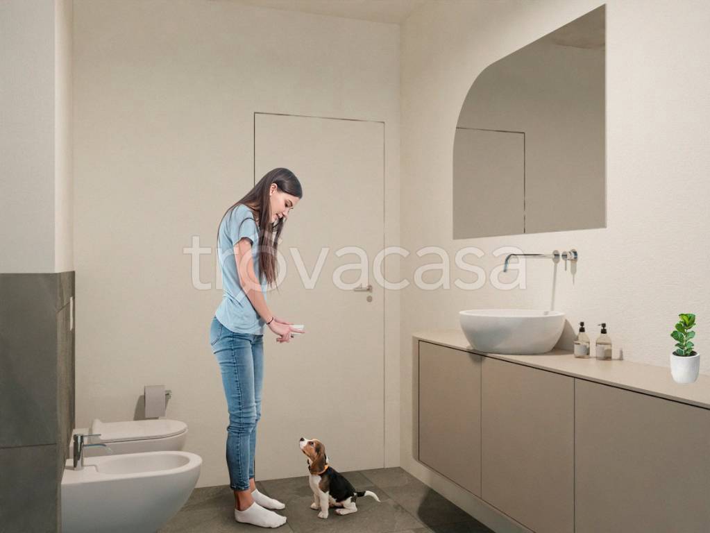immagine annuncio 9 di 11