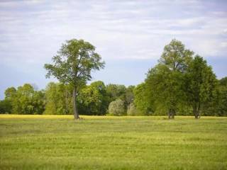 Terreno agricolo in vendita a sarzana 