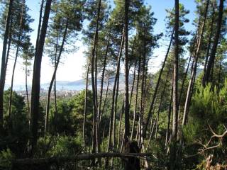 Terreno agricolo in vendita a la spezia felettino s.n.c.