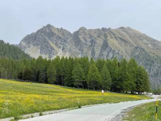 Terreno residenziale in vendita a brusson hameau estoul