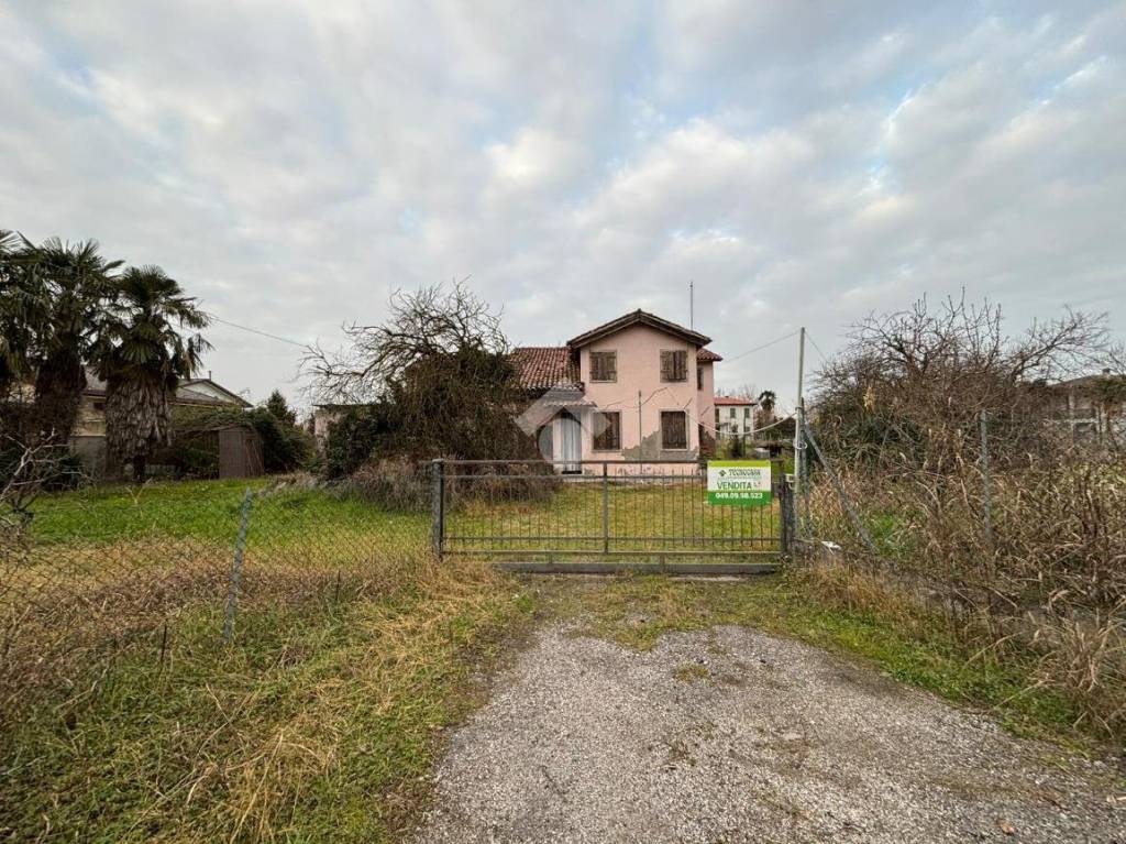 immagine annuncio 2 di 8