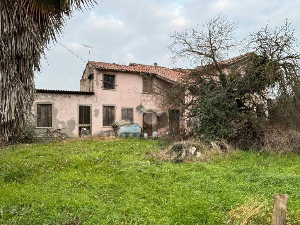 immagine annuncio 3 di 8