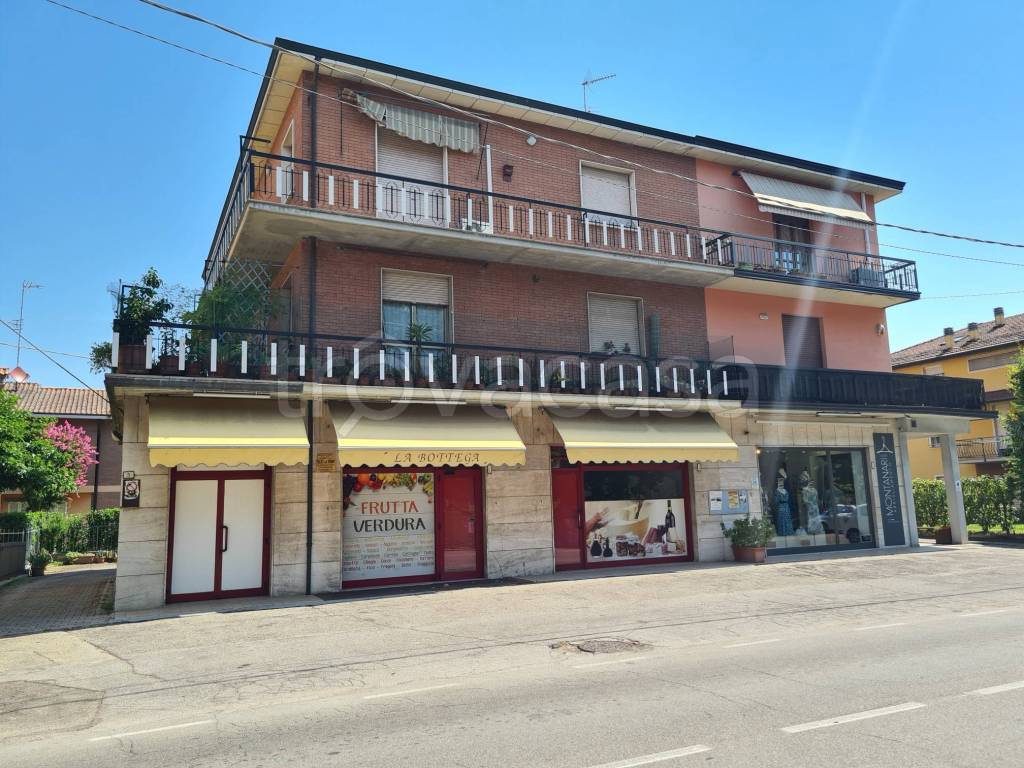 immagine annuncio 2 di 14