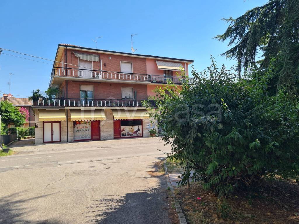 immagine annuncio 7 di 14