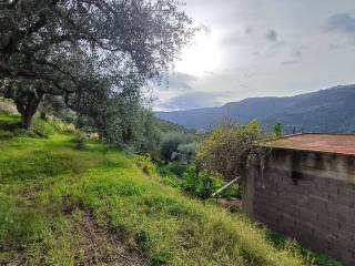 Terreno agricolo in vendita a ficarra contrada rinella