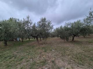 Terreno residenziale in vendita a loreto aprutino 