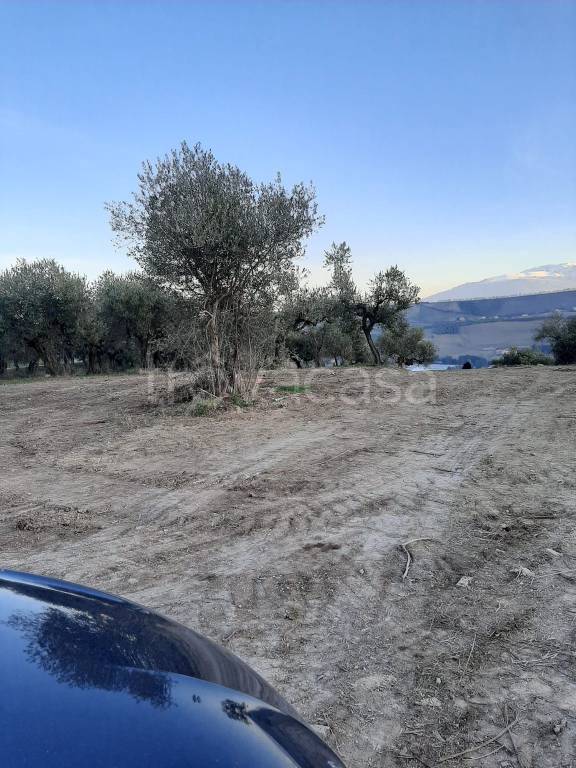 immagine annuncio 2 di 3