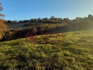 Terreno agricolo in vendita a rosignano marittimo via vicinale delle pianacce, snc