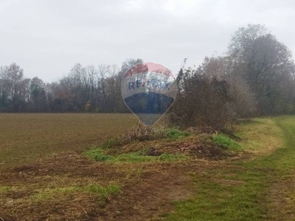 immagine annuncio 6 di 9