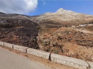 Terreno agricolo all'asta a san vito lo capo località salci grandi