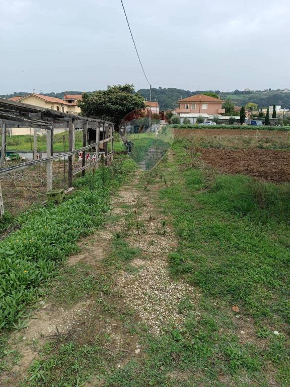immagine annuncio 5 di 7