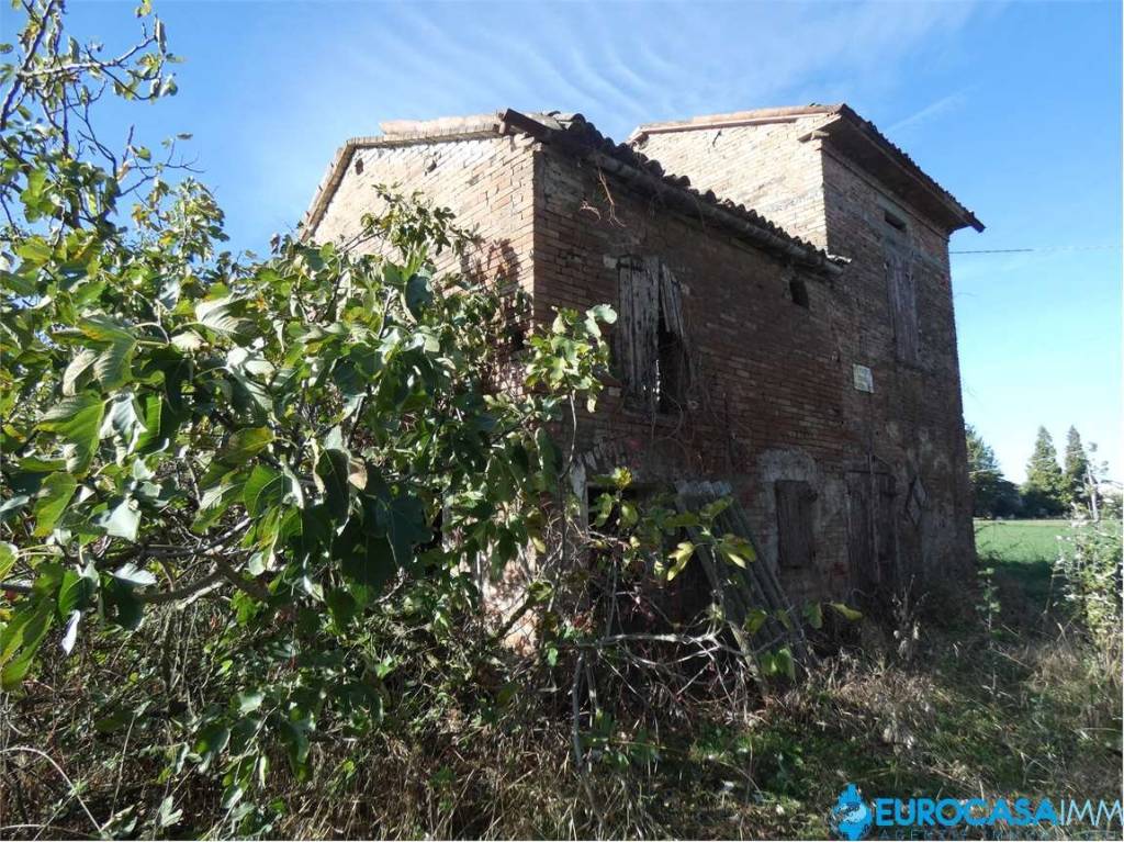 immagine annuncio 4 di 6