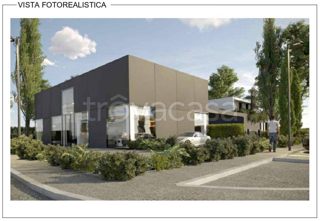 immagine annuncio 4 di 6